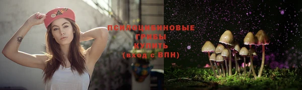 винт Вязники